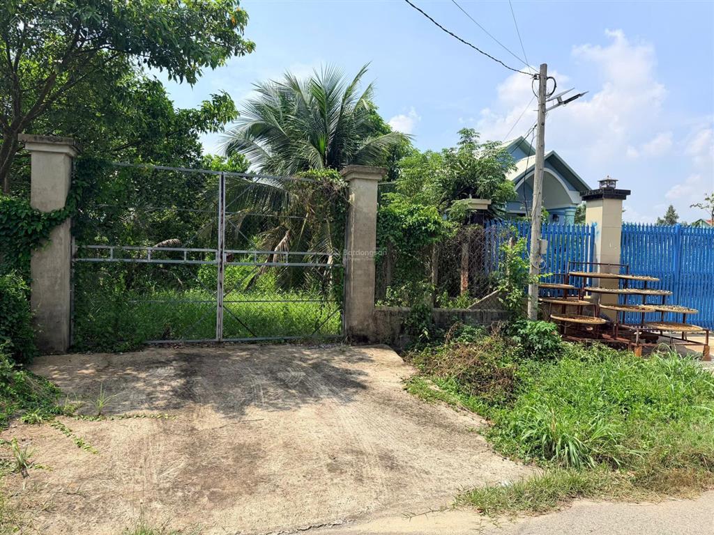 Ccg đất mặt tiền nguyễn thị măng xã thái mỹ củ chi giá f0