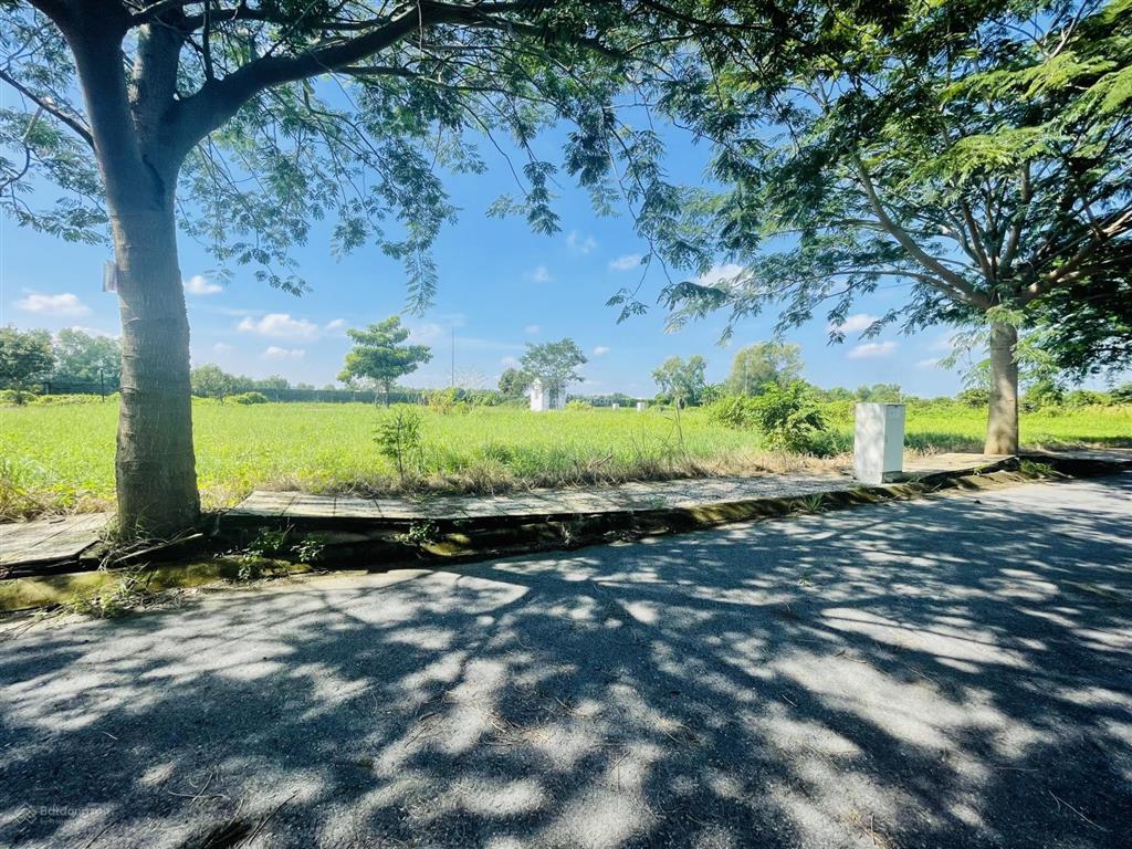 Chính chủ bán nhanh lô đất 80m2 đường nhựa đối diện kcn đức hoà 3 ngay gần khu vin tân mỹ chỉ 820tr