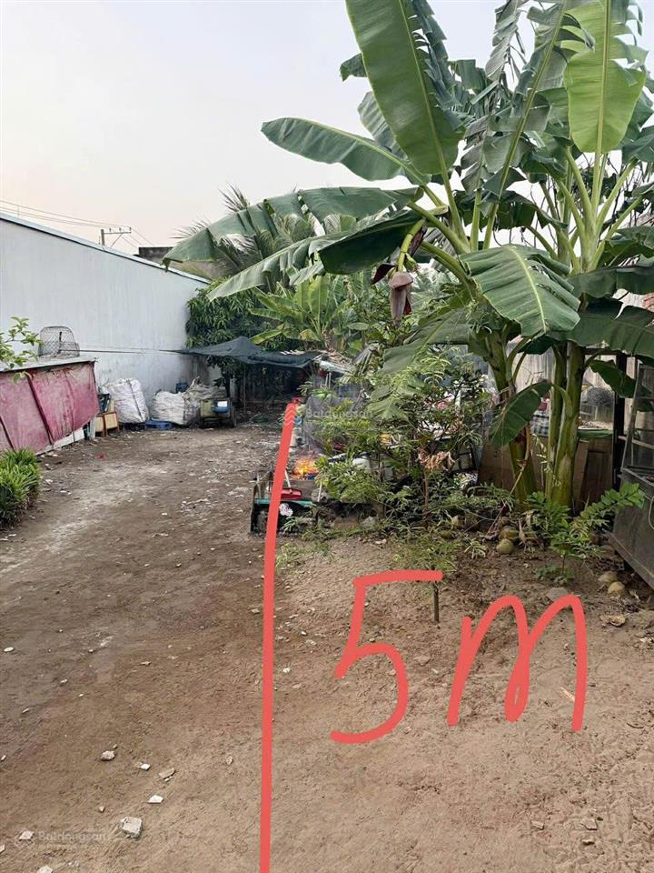 Bán đất mặt tiền đường 825  full thổ cư, có sẵn thu nhập cho thuê 16 triệu