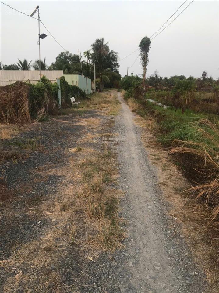 Chính chủ bán đất gấp đất vườn đức hòa đông, đức hòa, sát bên trung tâm thị trấn