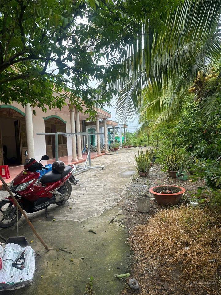 Bán đất ấp 1a, xã hựu thạnh, vị trí tiềm năng, pháp lý rõ ràng
