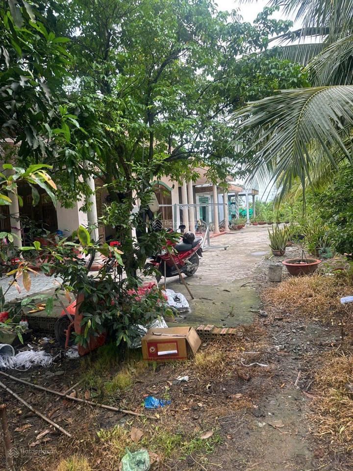 Bán đất ấp 1a, xã hựu thạnh, vị trí tiềm năng, pháp lý rõ ràng
