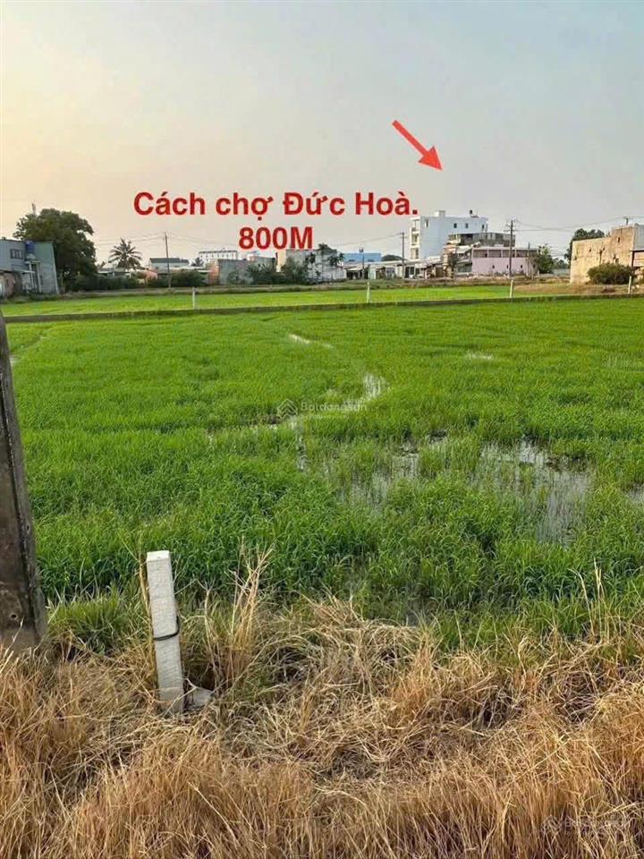 Bán gấp đất thổ cư đức hòa giá chỉ 950 triệu