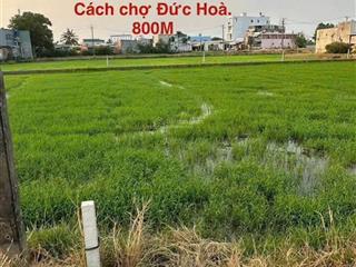 Bán gấp đất thổ cư đức hòa giá chỉ 950 triệu