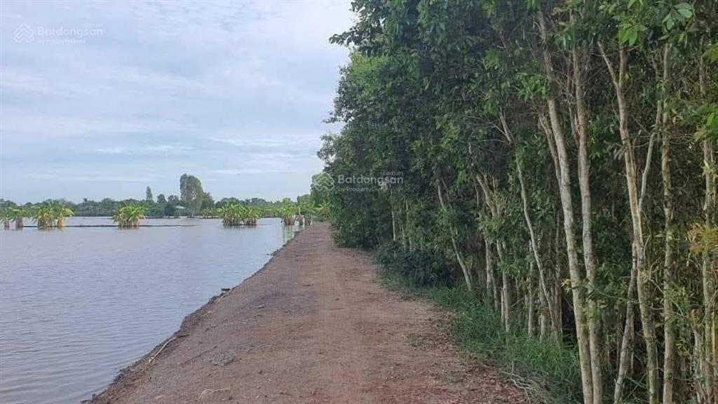 Đất lúa view kênh ấp 1 xã tân tây, thạnh hóa, long an. 20x58,7m, shr. 0939 267 ***