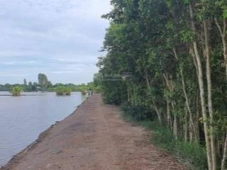 Đất lúa view kênh ấp 1 xã tân tây, thạnh hóa, long an. 20x58,7m, shr. 0939 267 ***