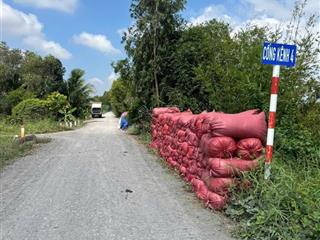 Hàng hiếm tại đt 818, mỹ thạnh, thủ thừa, long an, 1,15 tỷ, 1000 m2 có 300m2 thổ