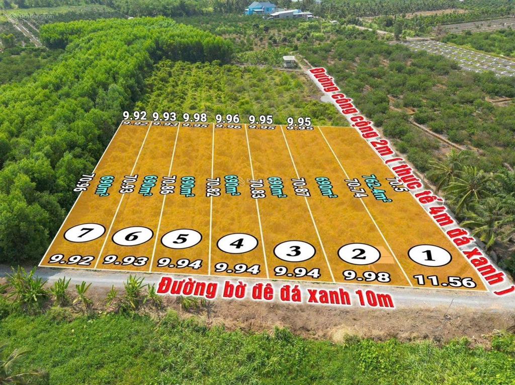 Đất vườn chuyển thổ 700m2 giá 810tr, lương bình, long an