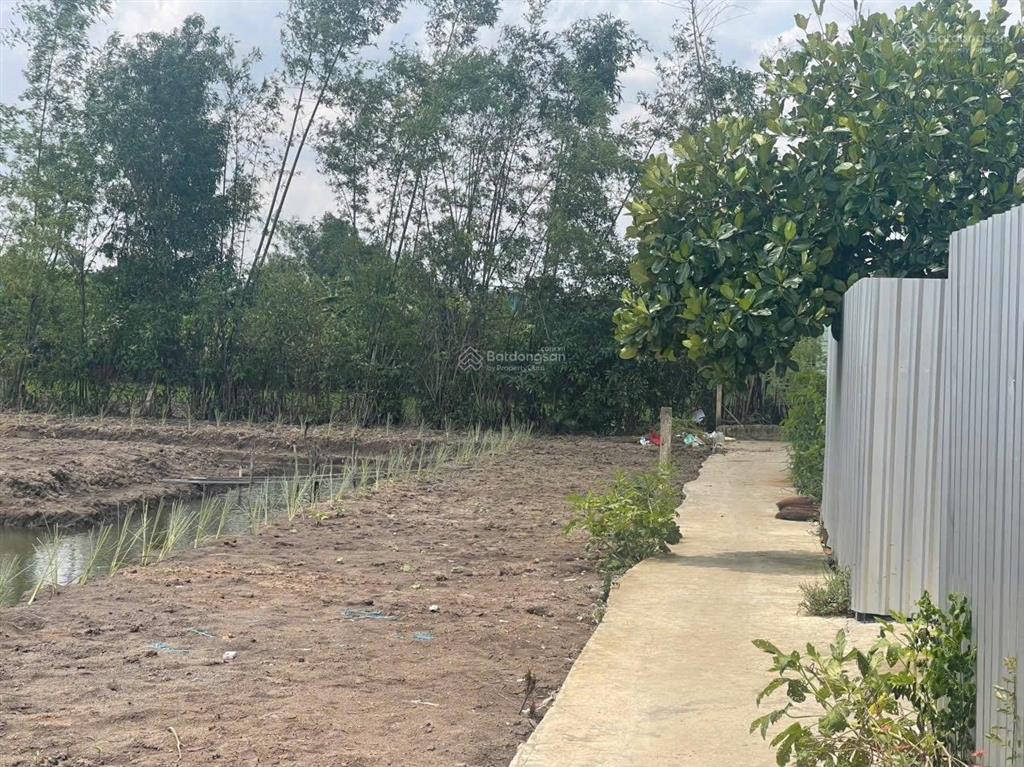Đất vườn giá rẻ 1450m2, lô nhì đường nguyễn văn thời, shr, giá 2.5 tỷ. quy đức, shr, có nhà vườn