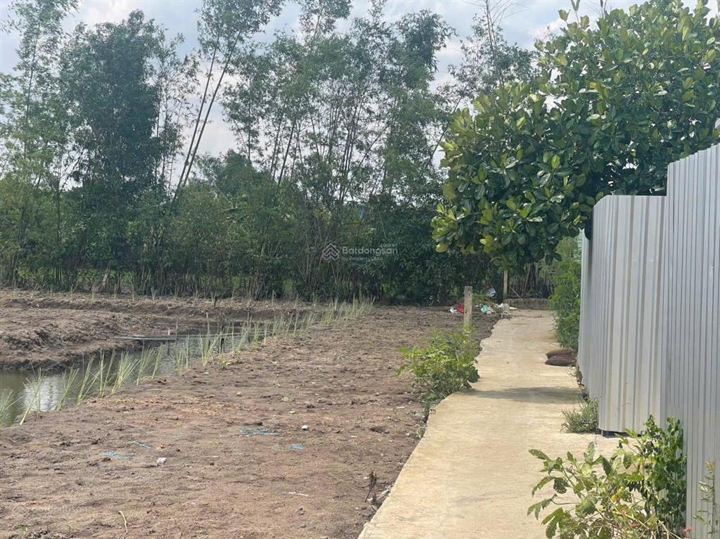Đất vườn giá rẻ 1450m2, lô nhì đường nguyễn văn thời, shr, giá 2.5 tỷ. quy đức, shr, có nhà vườn