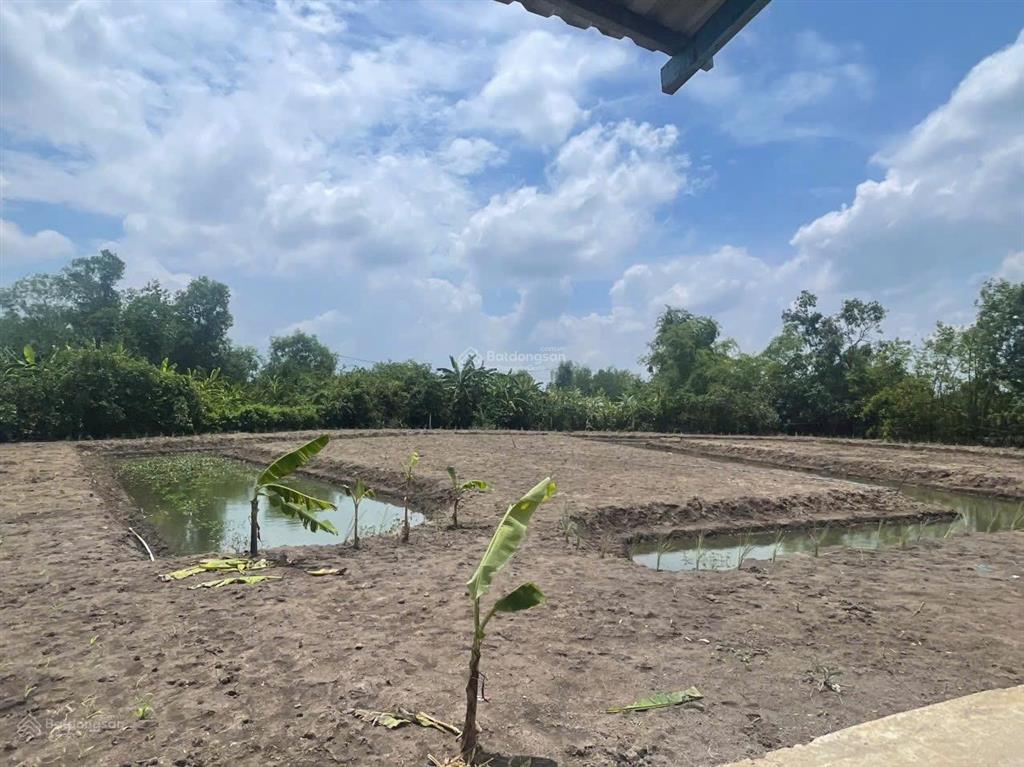 Đất vườn giá rẻ 1450m2, lô nhì đường nguyễn văn thời, shr, giá 2.5 tỷ. quy đức, shr, có nhà vườn
