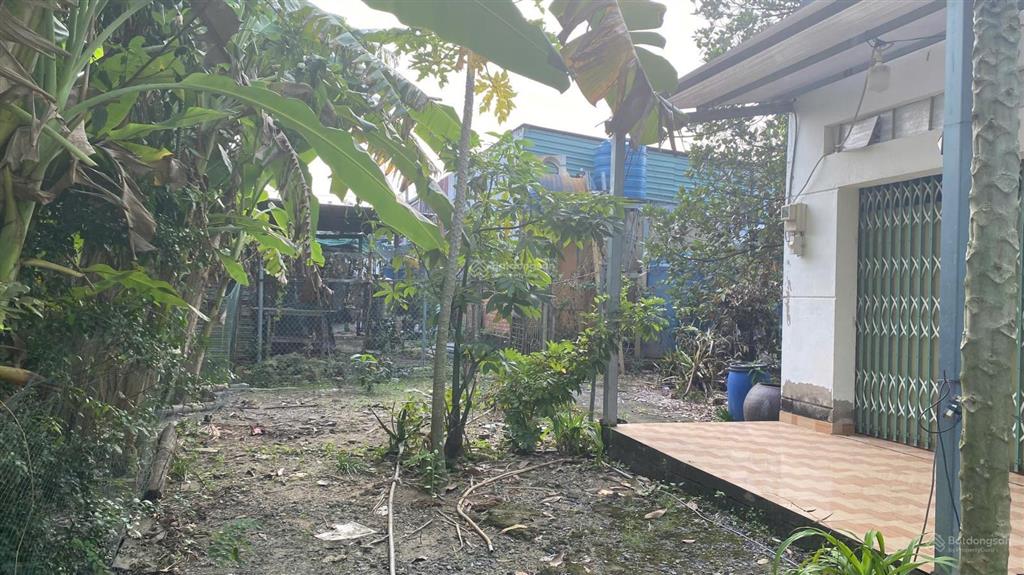 Cần bán đất vườn, có nhà cấp 4, 1000m ngang 30x33m, chính chủ, shr giá 1,8 tỷ, quy đức