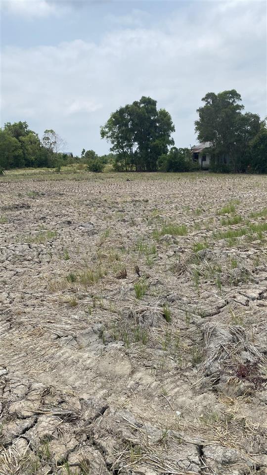 Cần bán đất vườn, góc 2 mt, dt là 3000m² thuộc lô nhì, đường xe tải quy đức, bình chánh hcm