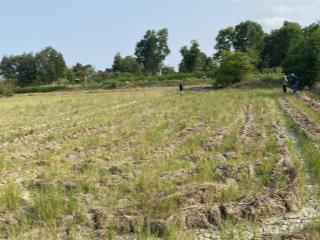 Cần tiền bán đất 2300m thuộc đất giáo dục, ở đường t8 hưng long bình chánh hcm. shr, chính chủ