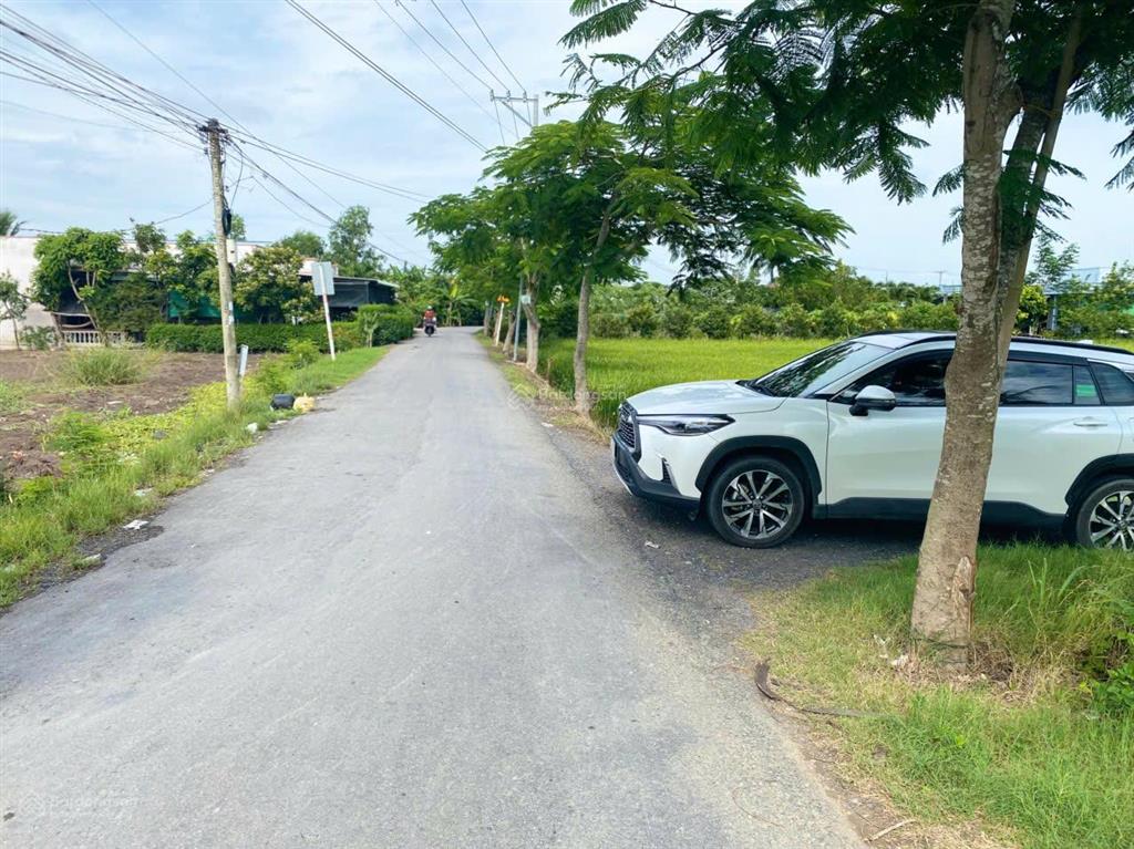 Kẹt tiền bán 1000m đất ở đường kênh t8, hưng long, bình chánh hcm. giá rẻ, đường xe hơi, shr