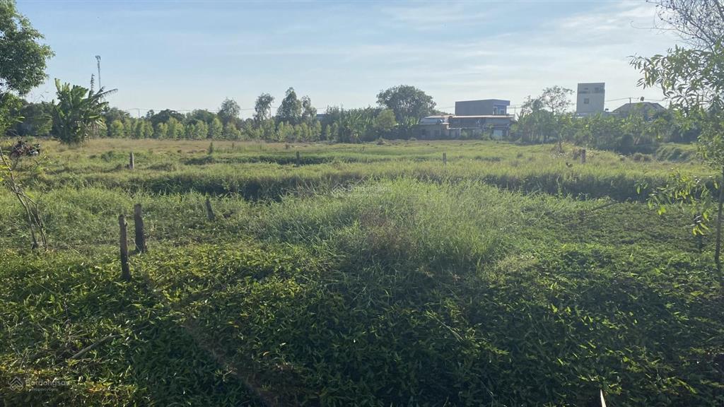 Kẹt tiền bán 1000m đất ở đường kênh t8, hưng long, bình chánh hcm. giá rẻ, đường xe hơi, shr