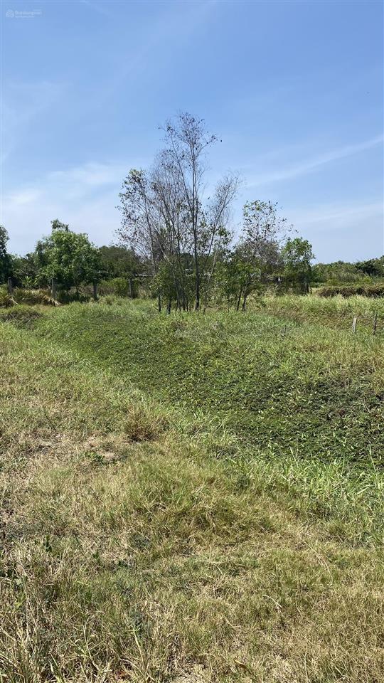 Kẹt tiền bán 1000m đất ở đường kênh t8, hưng long, bình chánh hcm. giá rẻ, đường xe hơi, shr