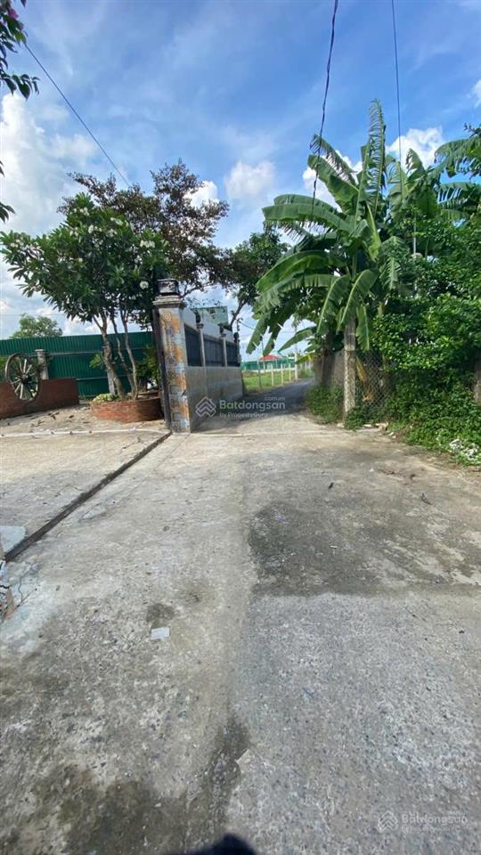 Bán đất tại liên ấp 2  3  4, 4,3 tỷ, 1000m2, xã tân quý tây, bình chánh, tp. hcm