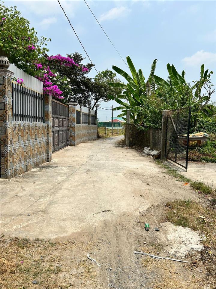 Bán đất tại liên ấp 2  3  4, 4,3 tỷ, 1000m2, xã tân quý tây, bình chánh, tp. hcm