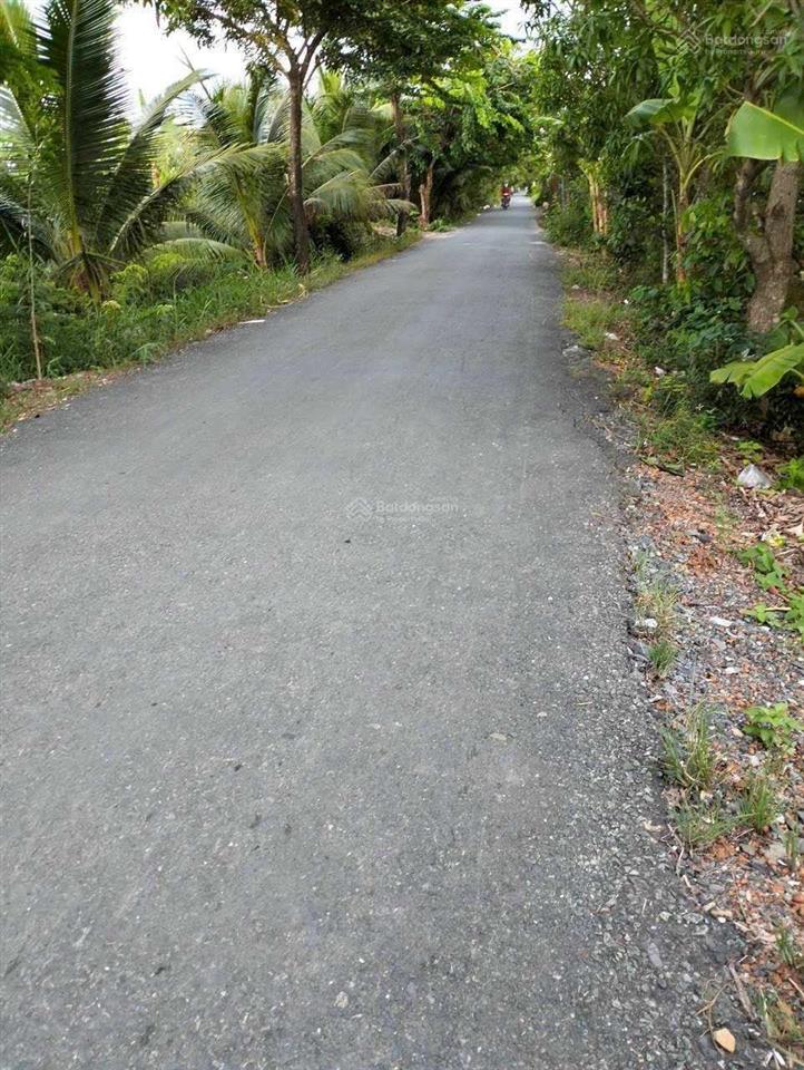 Mặt tiền đường nhựa t12, diện tích 1000m 20x50m, sổ riêng chính chủ, giá rẻ tân quí tây