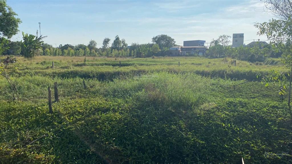 Kẹt tiền bán rẻ 1000m2, đất nằm giữa t8 và t9. đinh văn ước vô 100m. giá 1.95 tỷ shr chính chủ