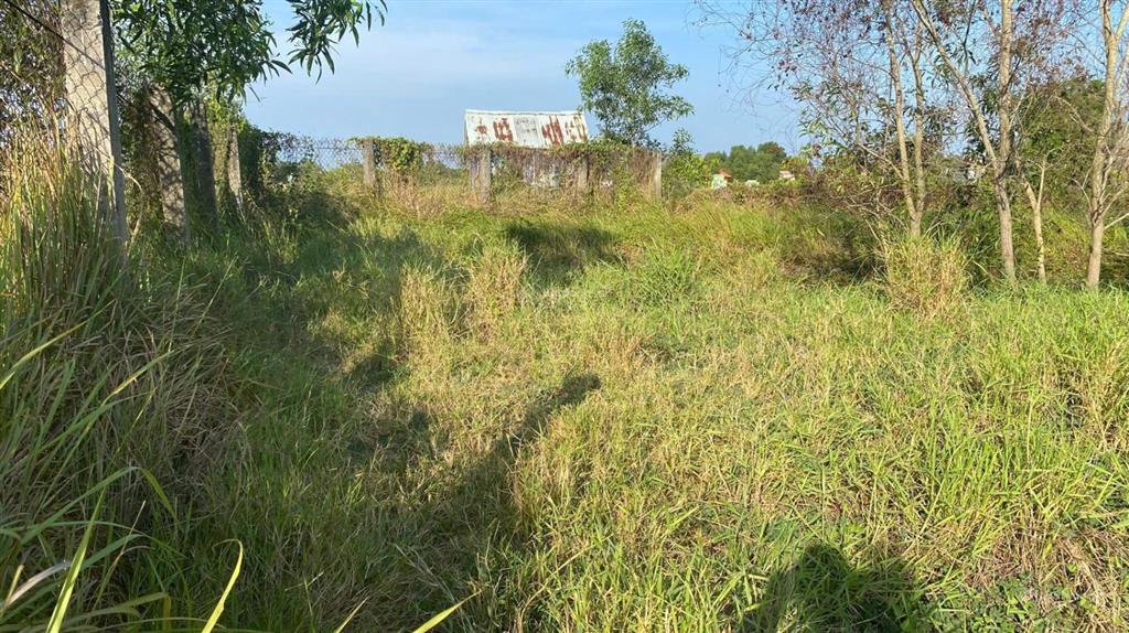 Kẹt tiền bán rẻ 1000m2, đất nằm giữa t8 và t9. đinh văn ước vô 100m. giá 1.95 tỷ shr chính chủ