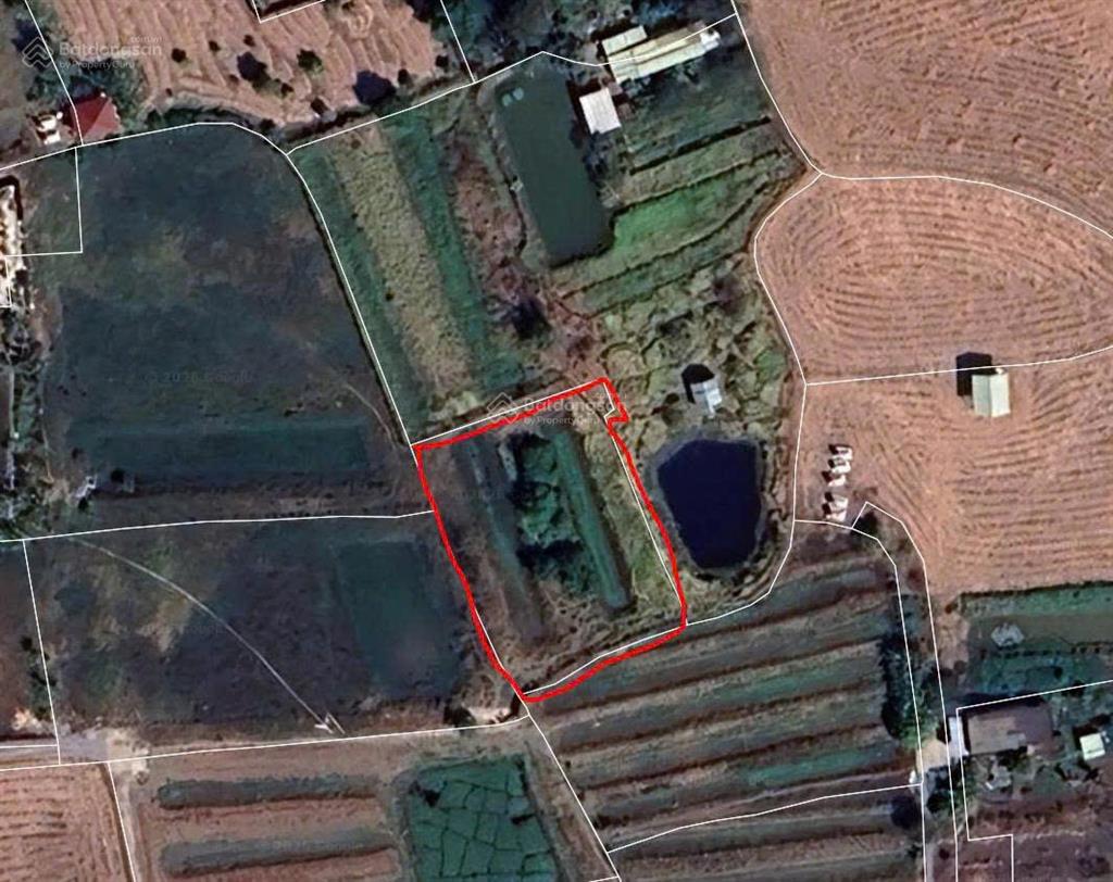 Kẹt tiền bán rẻ 1000m2, đất nằm giữa t8 và t9. đinh văn ước vô 100m. giá 1.95 tỷ shr chính chủ