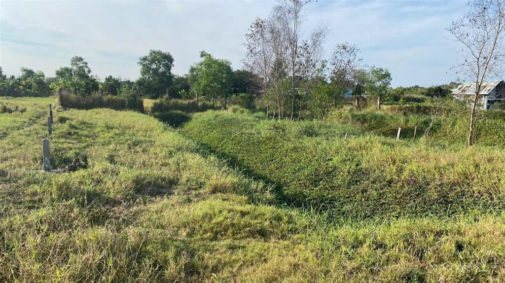 Kẹt tiền bán rẻ 1000m2, đất nằm giữa t8 và t9. đinh văn ước vô 100m. giá 1.95 tỷ shr chính chủ
