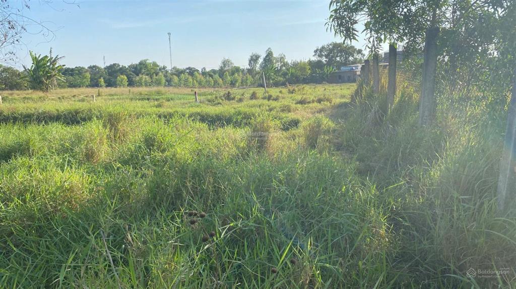 Kẹt tiền bán rẻ 1000m2, đất nằm giữa t8 và t9. đinh văn ước vô 100m. giá 1.95 tỷ shr chính chủ