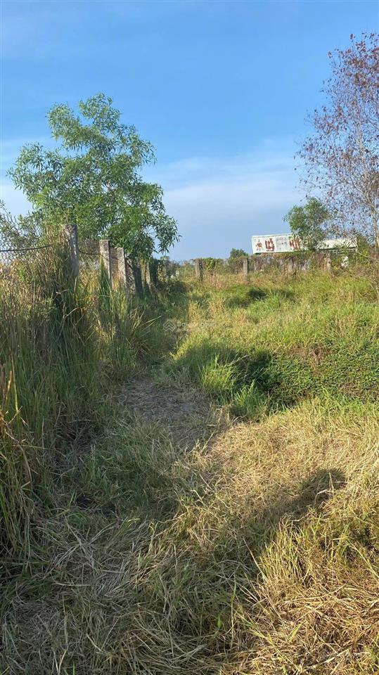 Kẹt tiền bán rẻ 1000m2, đất nằm giữa t8 và t9. đinh văn ước vô 100m. giá 1.95 tỷ shr chính chủ