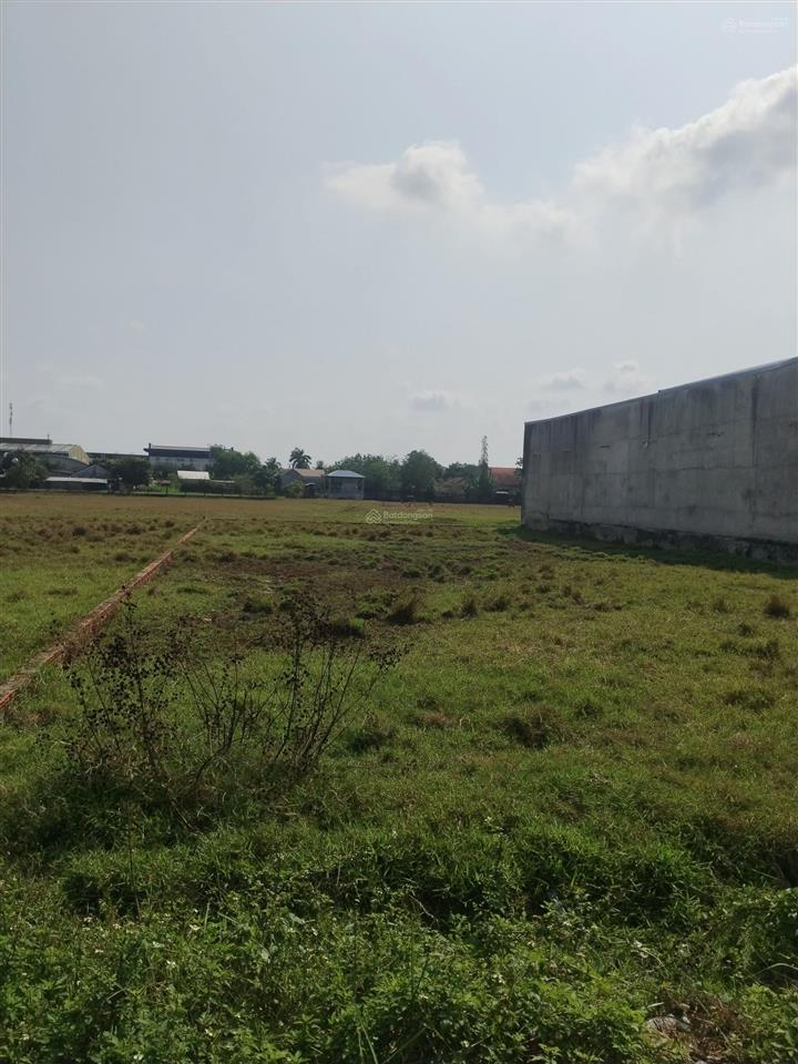 Bán đất 1/ ngắn tỉnh lộ 824, gần cống bà bông, dt đất 20x50=1018m2, thổ cư 100%, giá 8 tỷ