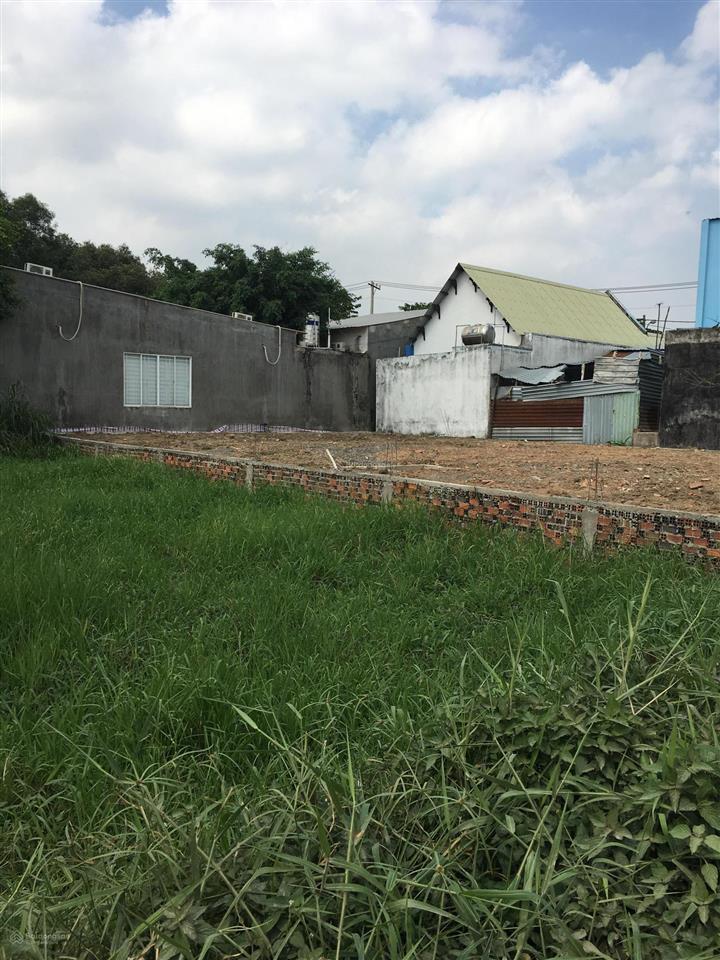 Bán đất mặt tiền đường 156 bình mỹ, củ chi