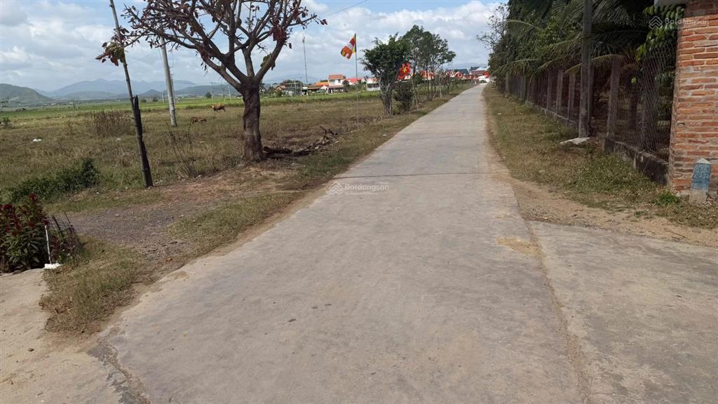 Đất chợ mới ninh quang  tân định tỉnh khánh hoà kẹt tiền bán lỗ 50% giá thị trường