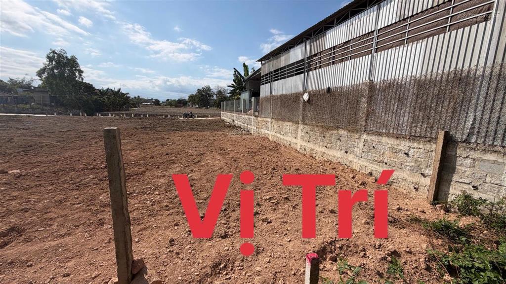 Bán đất tại 79, nguyễn trường tộ, ninh hiệp, ninh hòa, 1,6 tỷ, 168m2, giá ưu đãi