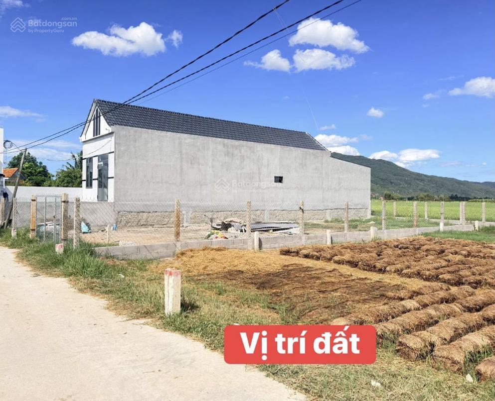Bán đất tại 79, đường nguyễn trường tộ, phường ninh giang, 439 triệu, 124 m2, giá ưu đãi, view đẹp