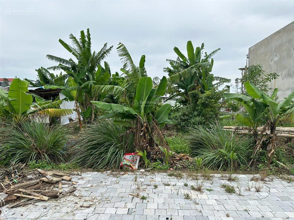 Đất đẹp hướng đông nam xây biệt thự mini