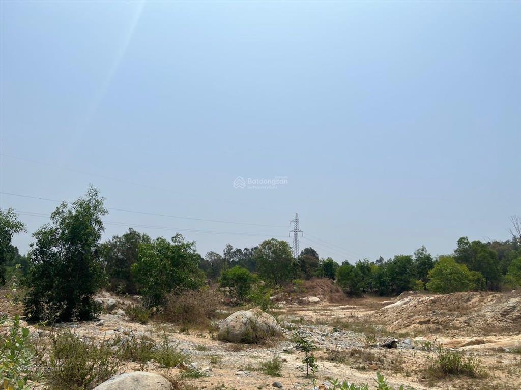 Bán gần 6,8 hecta đất cln  cam phúc bắc  cam ranh