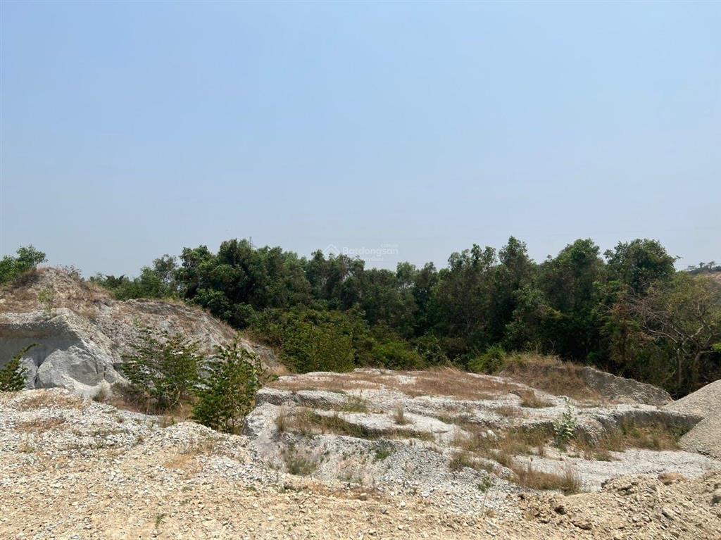 Bán gần 6,8 hecta đất cln  cam phúc bắc  cam ranh