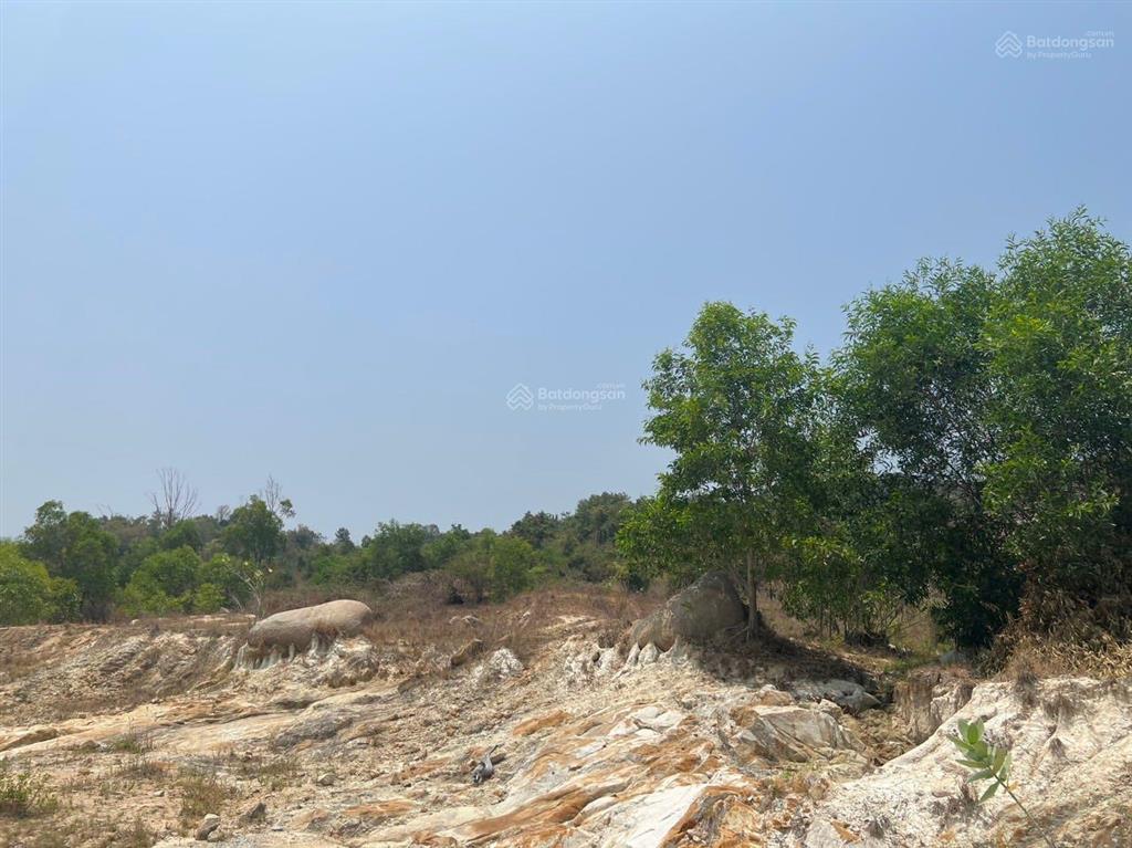 Bán gần 6,8 hecta đất cln  cam phúc bắc  cam ranh