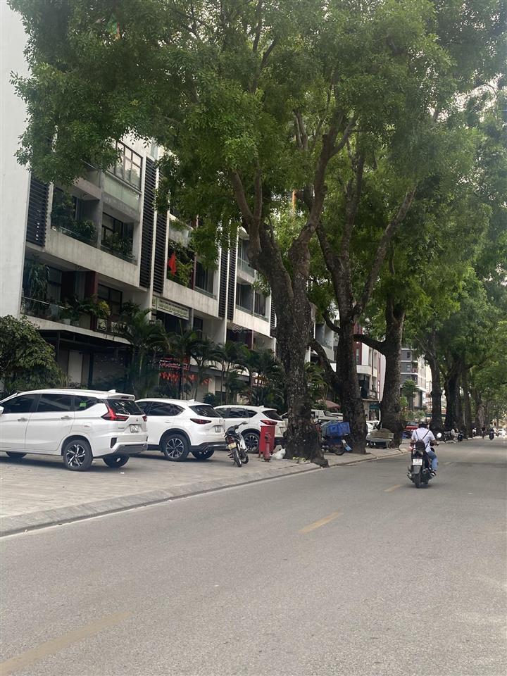 Chính chủ cần bán biệt thự lô góc mặt phố dự án bình minh garden đức giang,việt hưng