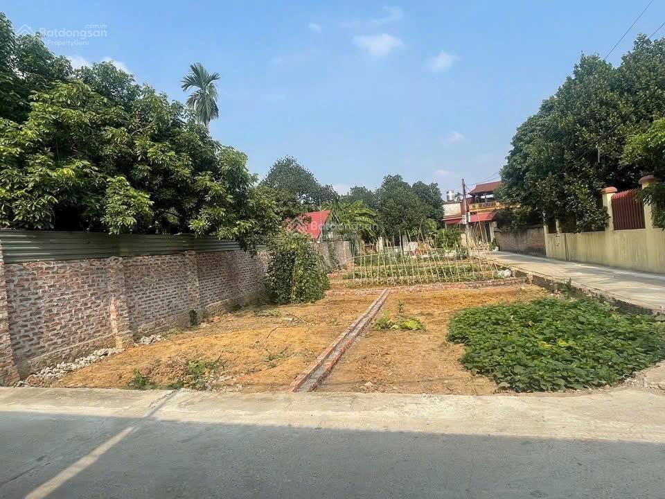 Chính chủ bán đất tại đan tảo, sóc sơn, lô góc ngõ thông ô tô giá chỉ 39tr/m2, 55m², pháp lý đầy đủ