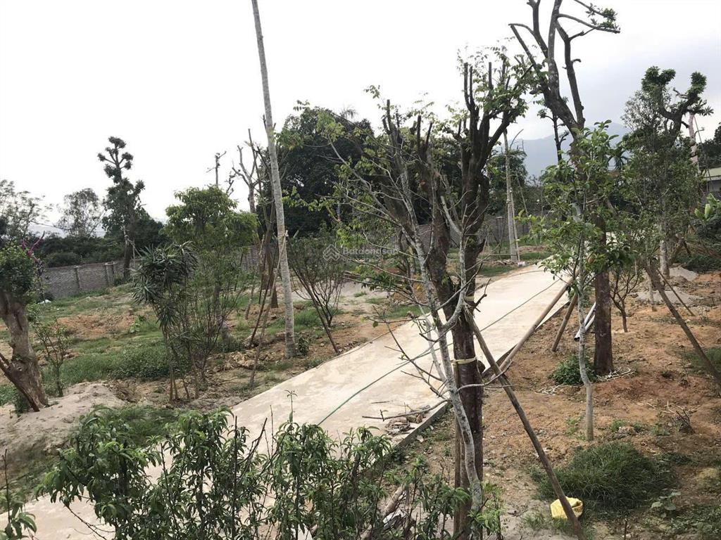 Bán đất tại hòa sơn, lương sơn, hòa bình, giá tốt 5,7 triệu vnd, diện tích 5100 m2