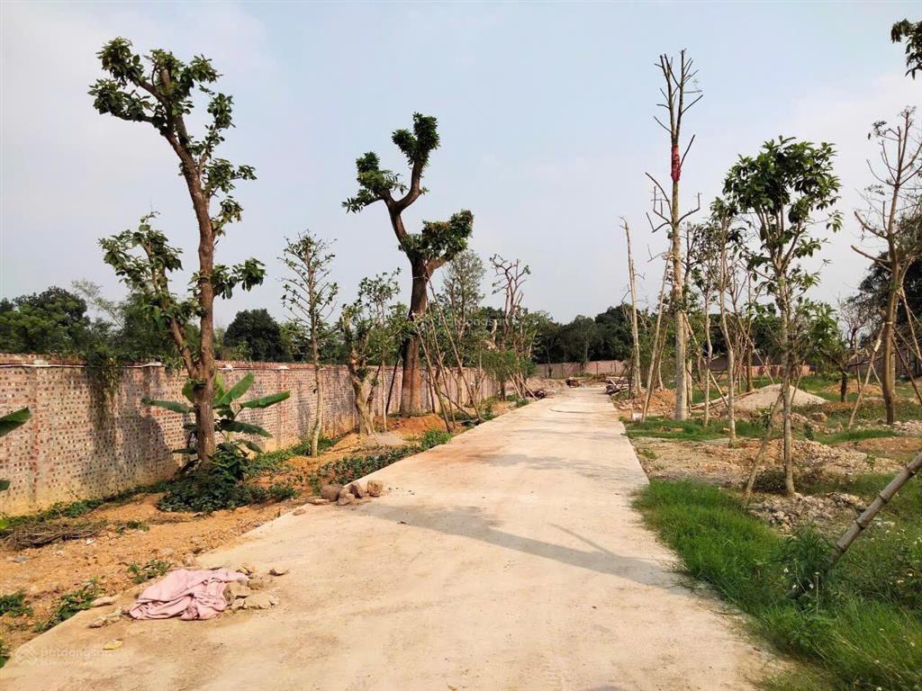 Bán đất tại hòa sơn, lương sơn, hòa bình, giá tốt 5,7 triệu vnd, diện tích 5100 m2