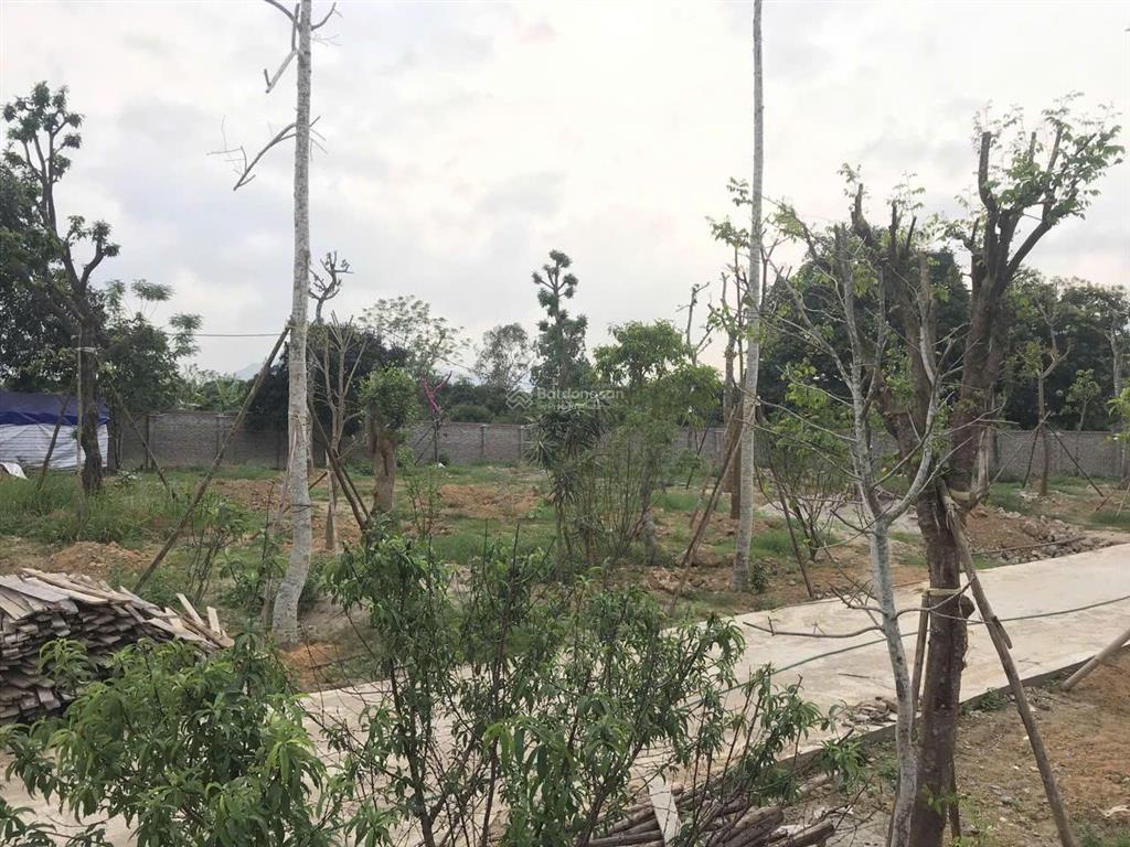 Bán đất tại hòa sơn, lương sơn, hòa bình, giá tốt 5,7 triệu vnd, diện tích 5100 m2