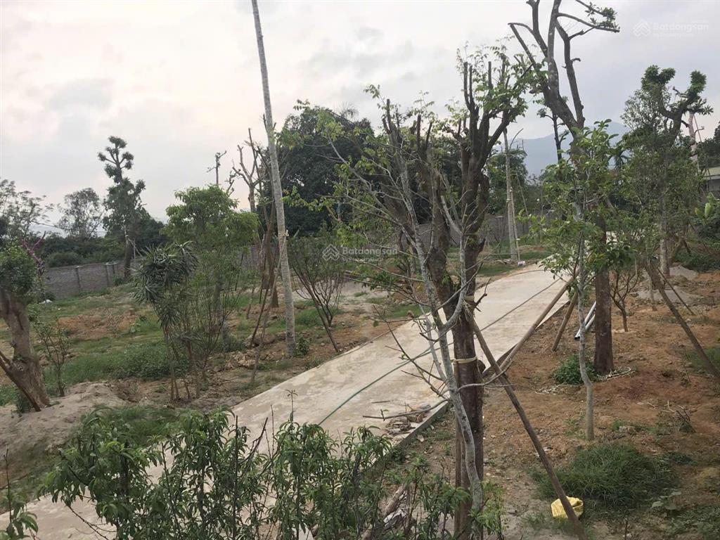 Bán đất tại hòa sơn, lương sơn, hòa bình, giá tốt 5,7 triệu vnd, diện tích 5100 m2
