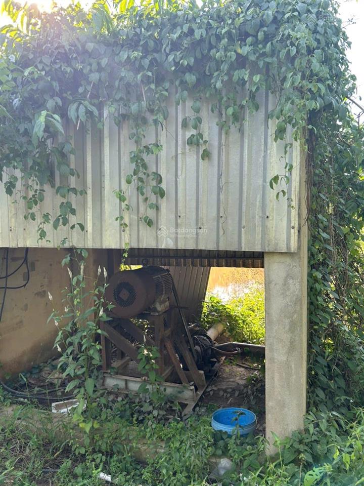 Bán nhà vườn 4,5 hecta mặt tiền đường nhựa bình dương chỉ 500k/1m2