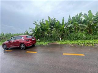 Bán vườn sầu riêng đường nhựa có nhà cấp 4