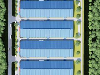 Cho thuê xưởng mới 100% trong kcn dầu giây, chỉ 655 triệu/tháng (3,6 đô/1m2)