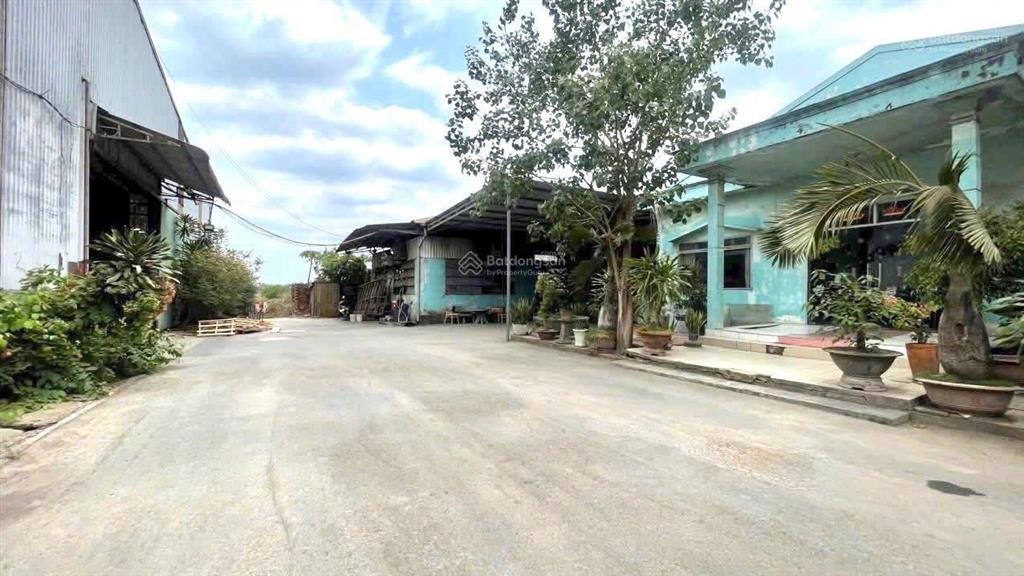 Cho thuê xưởng 9000m2 gần đường hoàng văn bổn , phường trảng dài, đồng nai