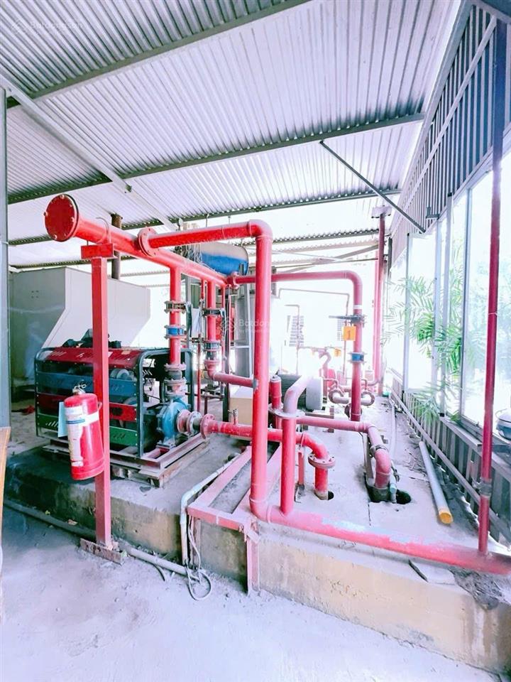 Cho thuê xưởng pháp lý đầy đủ thiện tân, phường trảng dài, đồng nai 5000m2 chỉ 225 triệu